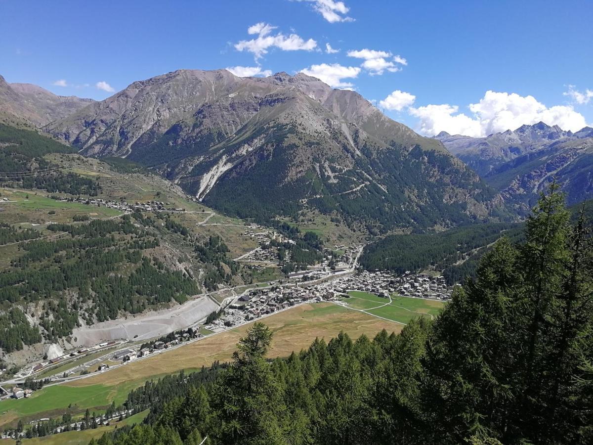 Hotel Bouton D'Or - Cogne Kültér fotó